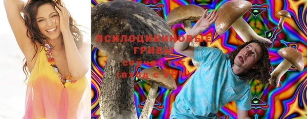 ПСИЛОЦИБИНОВЫЕ ГРИБЫ Белоозёрский