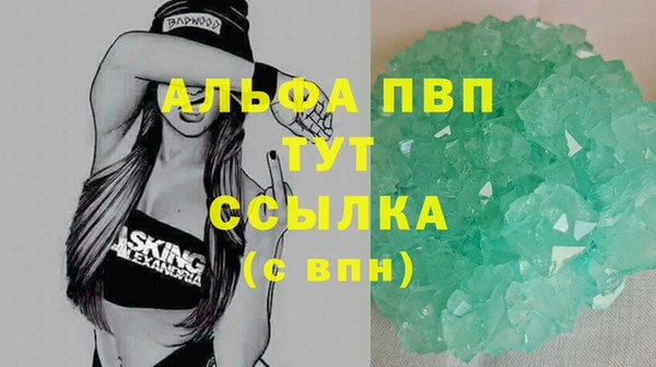 стаф Беломорск