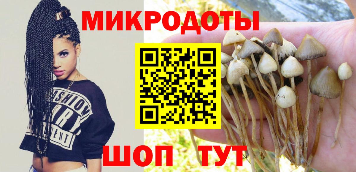 Воркута  Галлюциногенные грибы Psilocybine cubensis  Вход с VPN  Псилоцибиновые грибы GOLDEN TEACHER 