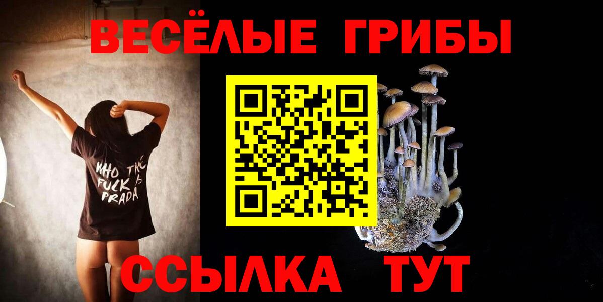 Псилоцибиновые грибы GOLDEN TEACHER Воркута